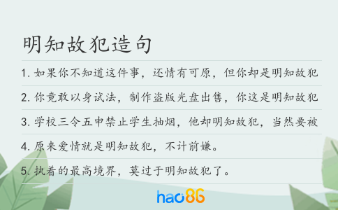 明知故犯造句