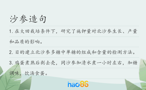 沙参造句