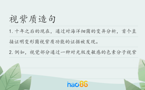 视紫质造句