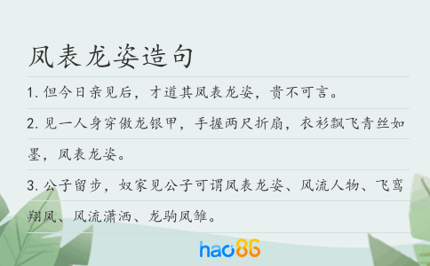 凤表龙姿造句
