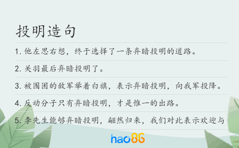 投明造句