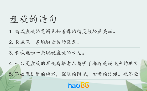 盘旋的造句