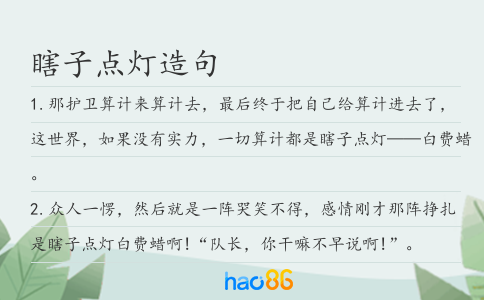 瞎子点灯造句