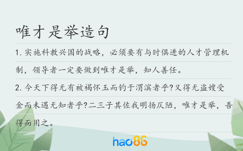 唯才是举造句