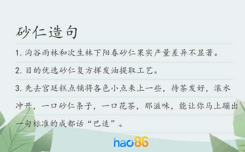 砂仁造句