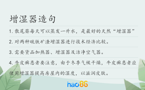 增湿器造句