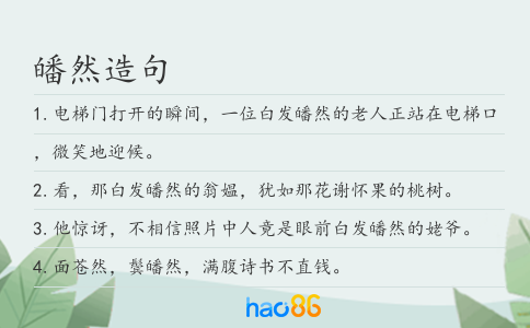 皤然造句