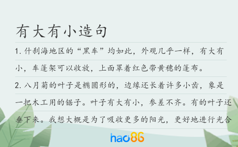 有大有小造句