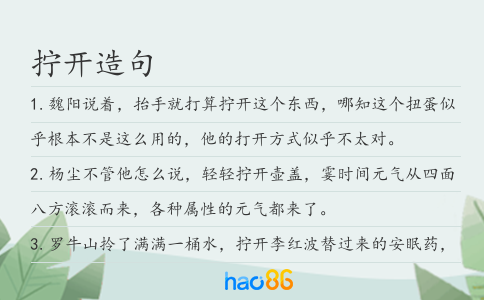 拧开造句