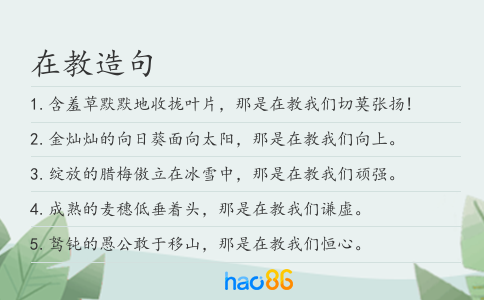 在教造句