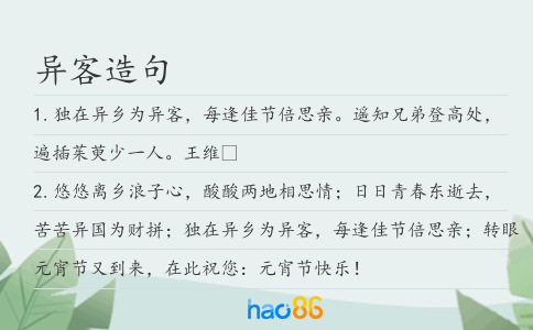 异客造句