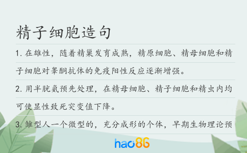 精子细胞造句