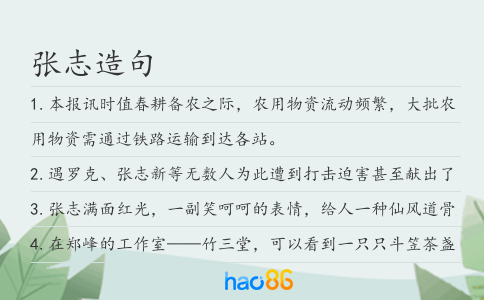 张志造句