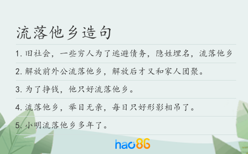 流落他乡造句