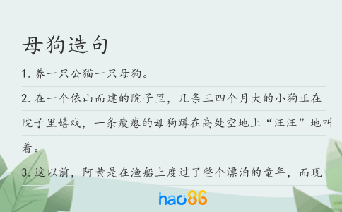 母狗造句