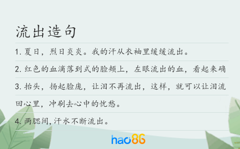 流出造句