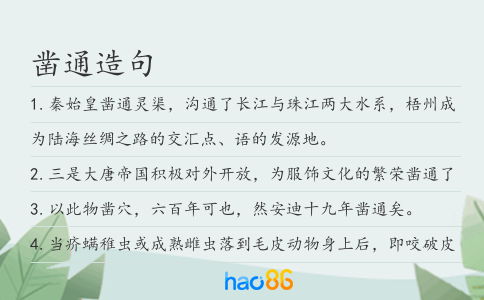 凿通造句