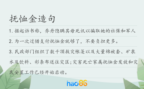 抚恤金造句