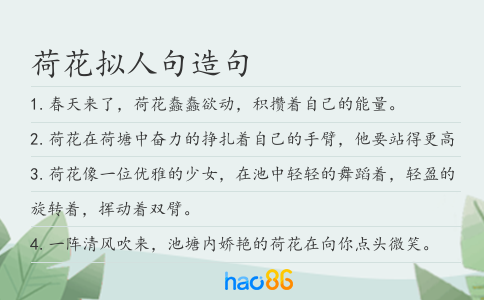 荷花拟人句造句