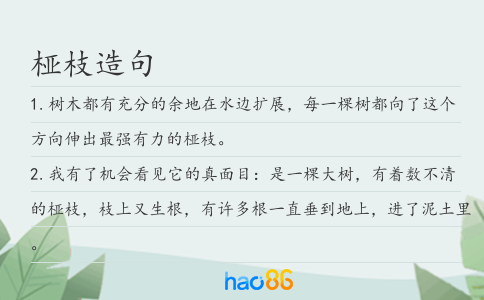 桠枝造句