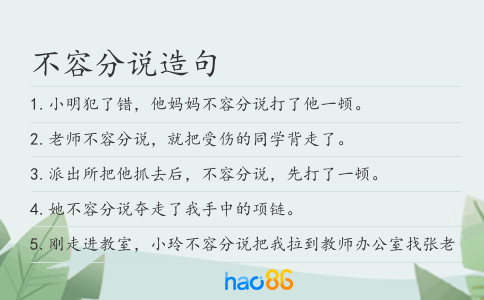 不容分说造句