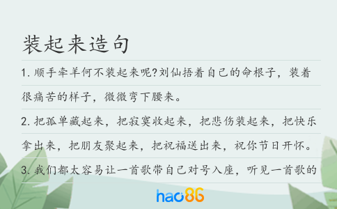 装起来造句