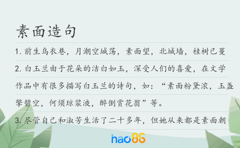 素面造句