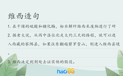 维西造句