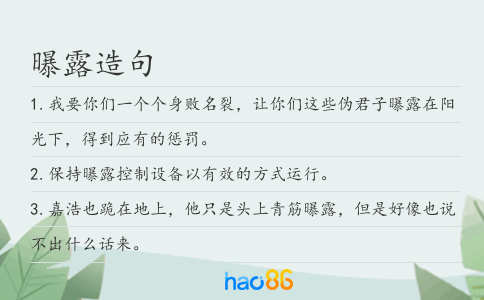 曝露造句