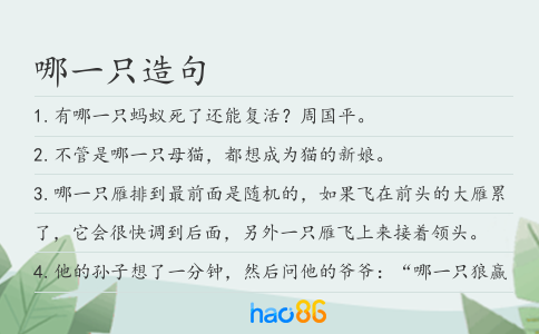 哪一只造句