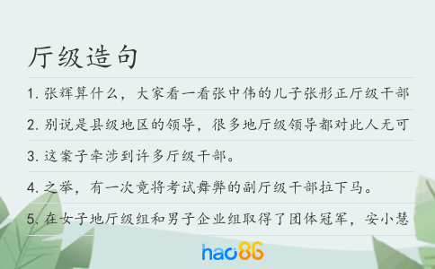 厅级造句