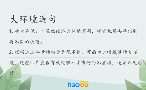 大环境造句
