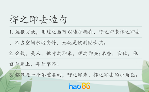 挥之即去造句