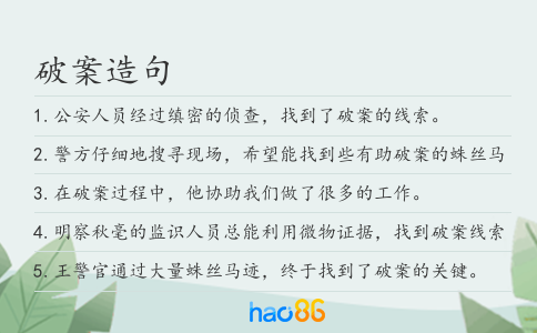 破案造句