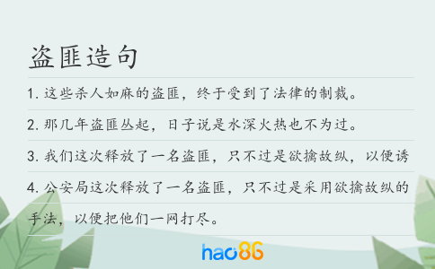 盗匪造句