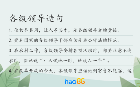 各级领导造句