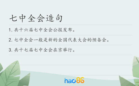 七中全会造句