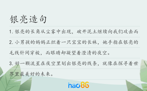 银亮造句