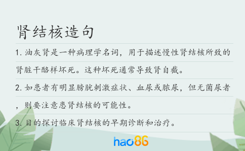 肾结核造句