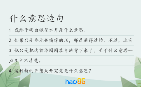 什么意思造句