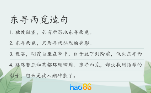 东寻西觅造句