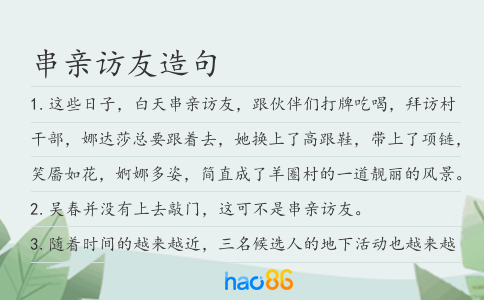 串亲访友造句