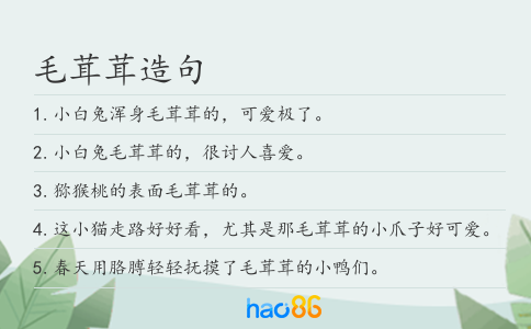 毛茸茸造句