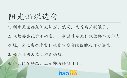 阳光灿烂造句