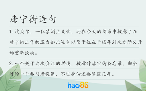 唐宁街造句