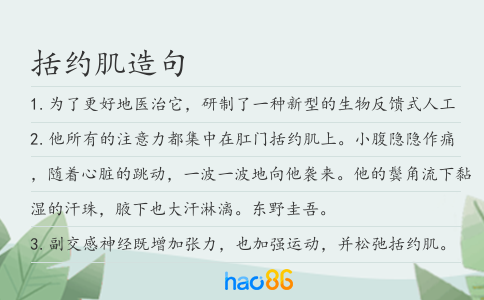括约肌造句