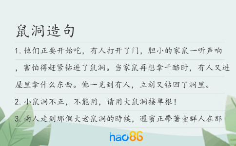 鼠洞造句