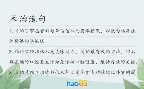 术治造句
