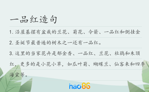 一品红造句