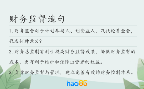 财务监督造句